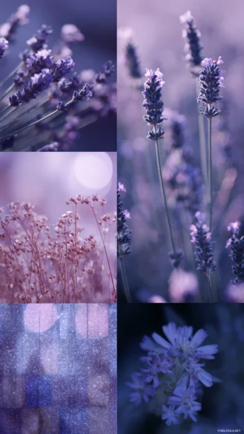 Collage of aesthetic lavender stills with grain, flowers, and light purple overlays.