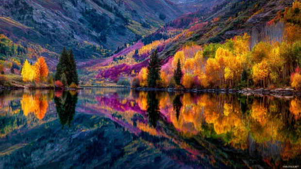 Colorful fall foliage wallpaper with vibrant spectrum from gold to burgundy reflecting in a serene mountain lake.