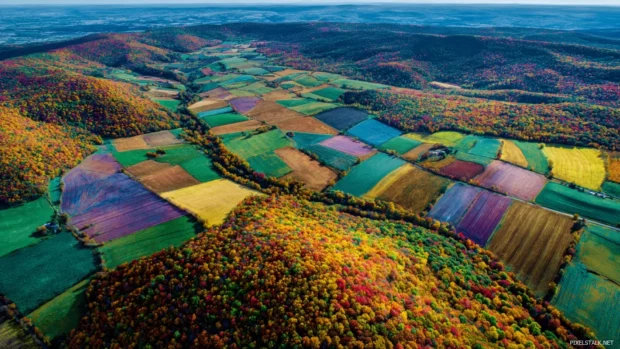 Colorful fall landscape wallpaper showing aerial view of patchwork farmland edged by multi colored forest mosaic.