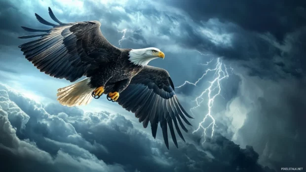 Cool eagle wallpaper showing a fierce bald eagle flying above storm clouds with lightning in the background.