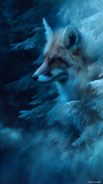 Cool fox art wallpaper blending surreal digital textures with a fox spirit emerging from midnight forest mist.