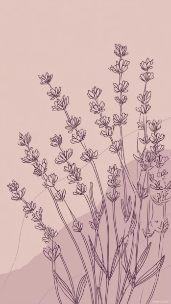 Cute Lavender Background wallpaper showing delicate lavender stems in a minimal flat line art style on blush tone.