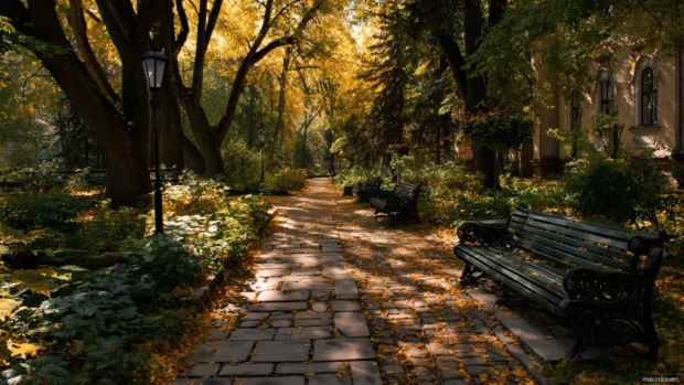 Dark Fall park scene with golden leaves carpeting stone walkways, dark wood benches, and gentle afternoon shadows.