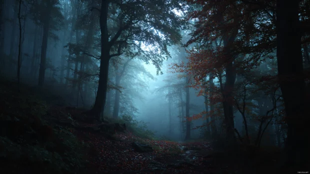 Dark autumn wallpaper showing misty forest at twilight with deep shadows among towering oaks.