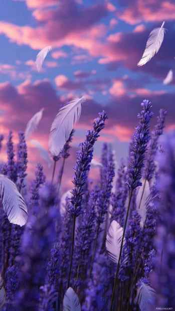 Dreamlike lavender meadow with floating feathers and radiant sky tones.