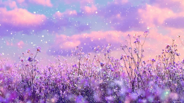 Dreamy aesthetic lavender sky over a field of flowers with delicate sparkles and grain.