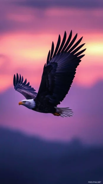 Eagle in flight wallpaper with graceful wings extended across a purple twilight sky.