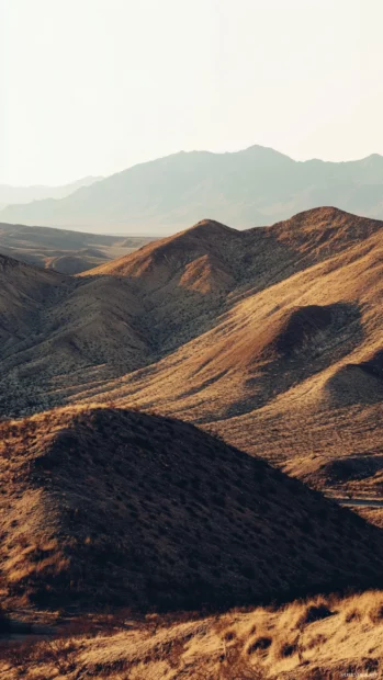 Earth tone desert hill landscape in soft vertical composition.