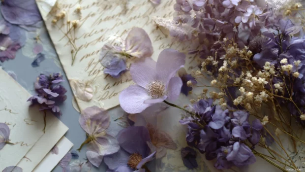 Elegant aesthetic lavender montage with soft tones, poetry clippings and pressed flowers.