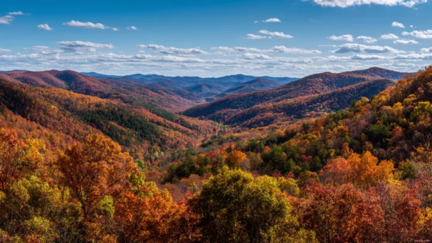 Fall forest stretching across rolling hills with rich amber, crimson, and gold tones under a clear blue sky.