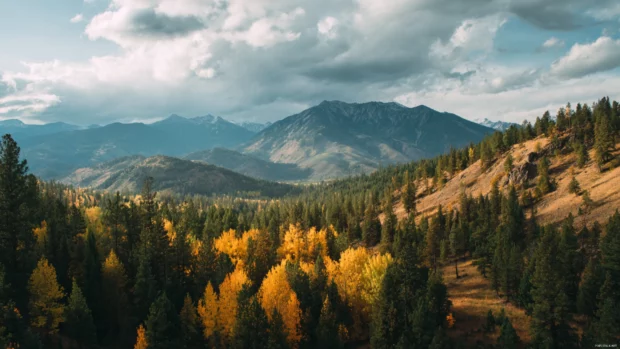 Fall landscape with golden forests and mountains under a soft cloudy sky, perfect for Macbook wallpaper.