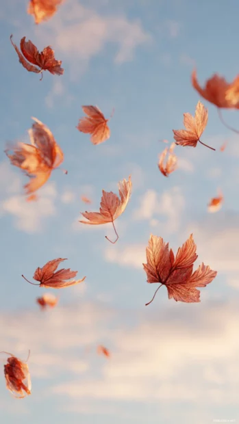 Fall leaves caught mid air, dancing in the gentle breeze against a soft autumn sky.