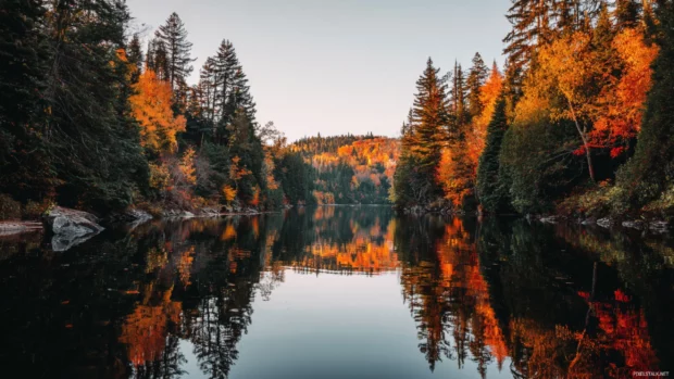Fall reflections in a calm lake surrounded by forests glowing with warm colors, a serene setting for Macbook wallpapers.