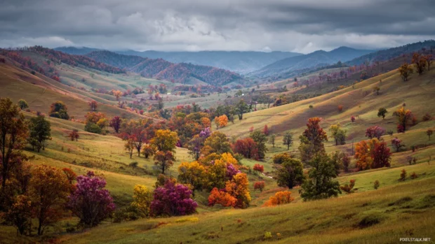 Fall trees scattered across rolling hills, creating a colorful patchwork of autumn hues.