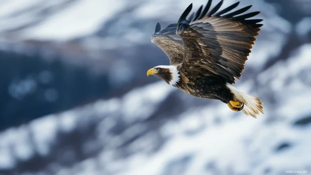Flying eagle with dynamic motion blur, captured mid flight over snowy peaks.