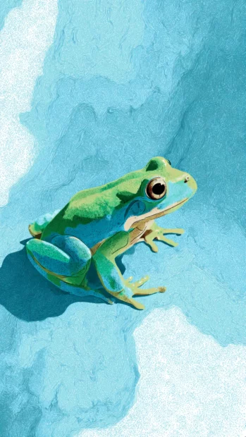 Frog aesthetic phone wallpaper combining flat frog illustration with gentle water ripple textures in pastel hues.