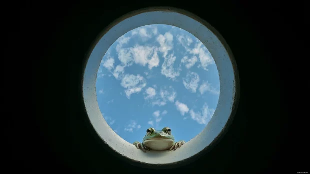Froggy framed inside a circular window with a clear sky and cloud pattern around the border.