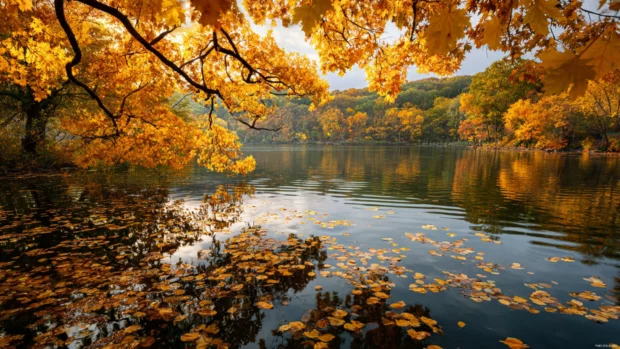 Golden fall afternoon with leaves drifting over a calm lake surrounded by trees in full autumn colors.