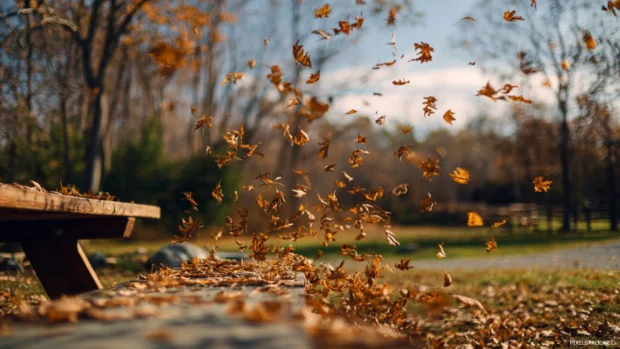 Golden leaves fluttering in the breeze, capturing the peaceful beauty of Beautiful Fall in a quiet park.