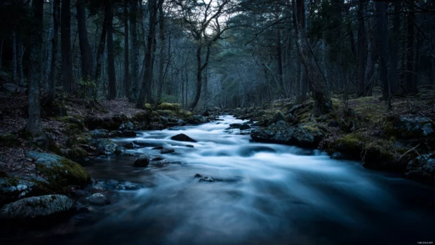 HD waterfall wallpaper capturing silky smooth water stream weaving between dark wood trees at twilight.