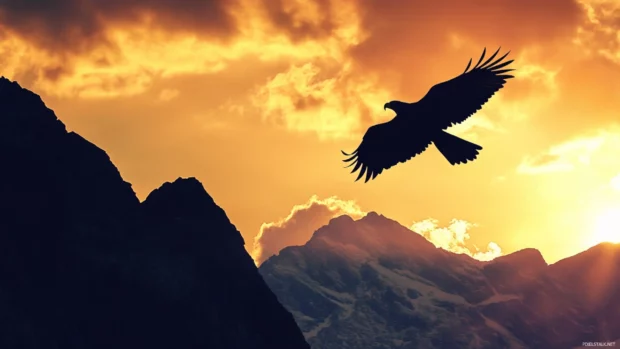In dramatic silhouette, the Cool Eagle flies past a mountain ridge.