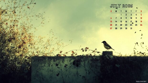 July 2025 Calendar Desktop Wallpaper HD (4).