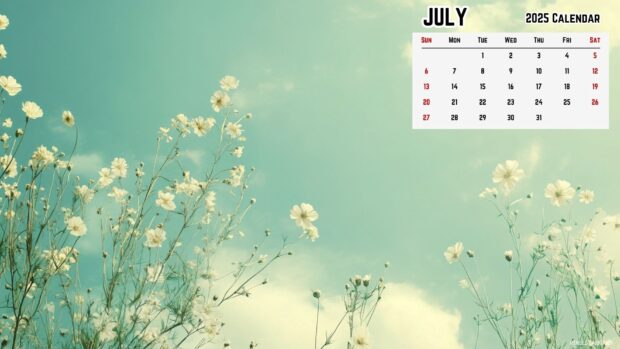 July 2025 Calendar HD Wallpaper for PC (15).