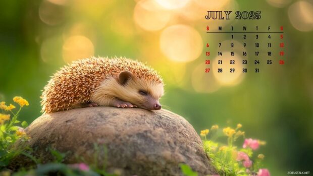 July 2025 Calendar HD Wallpaper for PC (3).