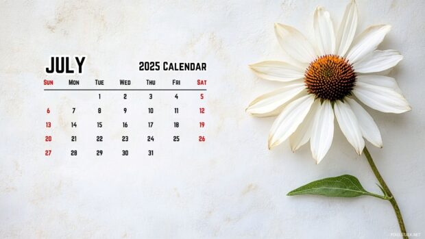 July 2025 Calendar HD Wallpaper for PC (9).