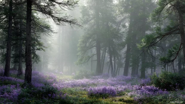 Lavender color mist floating through a quiet forest scene with serene mood.