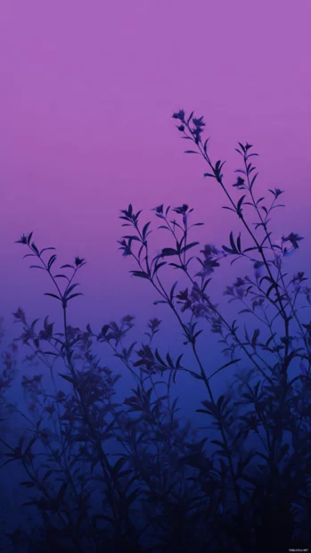 Lavender iPhone lock screen wallpaper showing stylized lavender silhouette layered over dusky purple gradient.