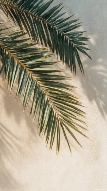 Minimalist aesthetic palm tree wallpaper featuring single palm frond set against pale cream canvas for calm mood.