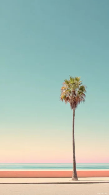 Minimalist beach view with a single aesthetic palm tree under a soft pastel colored sky.
