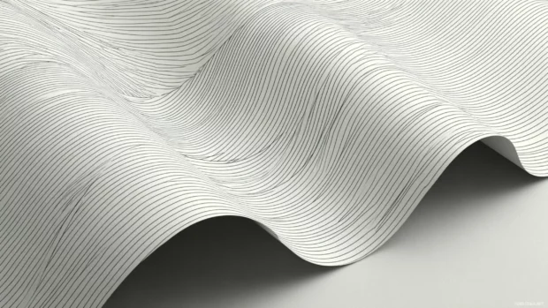 Minimalist black and white geometric wallpaper accented with thin horizontal lines and gentle curvature.
