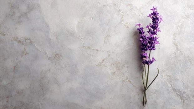 Minimalist lavender aesthetic wallpaper displaying a lone lavender sprig on smooth marble texture background.