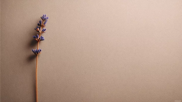 Minimalist lavender color wallpaper displaying a lone lavender stem on smooth muted mauve background.