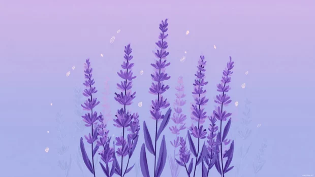 Modern flat illustration of lavender stems in a simple clean design for mobile.