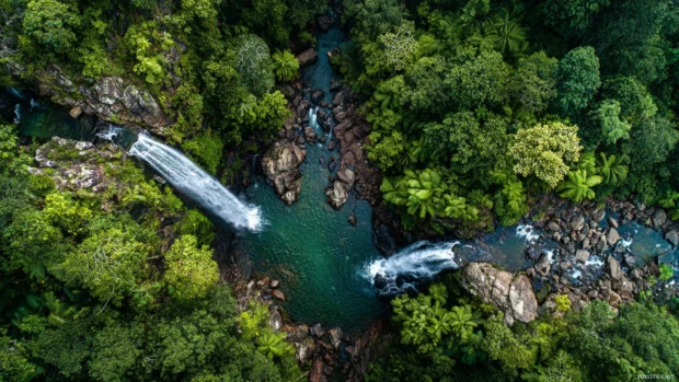 Nature waterfall wallpaper offering aerial view of emerald river cascading over rocks surrounded by ferns.