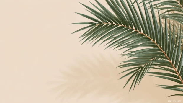 Palm frond wallpaper with minimal layout, single curved palm leaf arching over soft beige backdrop.