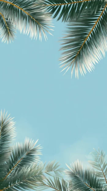 Palm leaves iphone wallpaper hd designed with central palm frond framing screen over powder blue background.