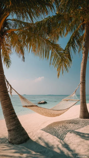 Palm tree beach iPhone wallpaper showing chilled hammock tied between two palms on sandy beach and clear sky.