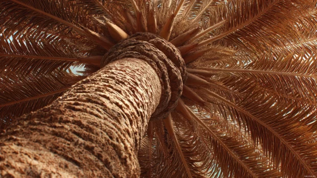 Palm tree close up showing the detailed texture of the trunk and vibrant fronds.