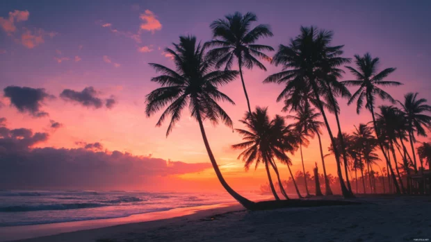 Palm tree gently bending over a tranquil lagoon, vivid textures and crisp 4K colorsVibrant 4K beach sunset with palm tree silhouettes creating elegant tropical scenery.