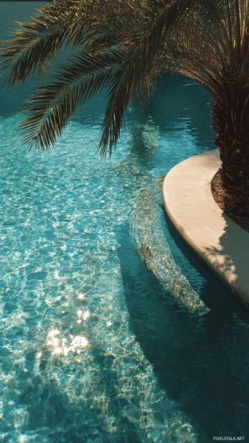 Palm tree gently curving over a sparkling pool with tropical reflections, perfect for a summer vibe.