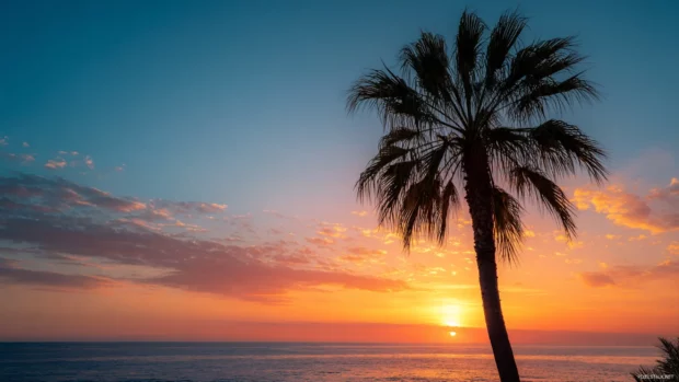 Palm tree gently leaning toward the ocean under a brilliant sunset sky filled with warm hues.