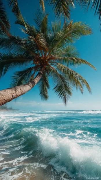 Palm tree gracefully arching over crystal blue ocean waves, creating a soothing vertical composition.