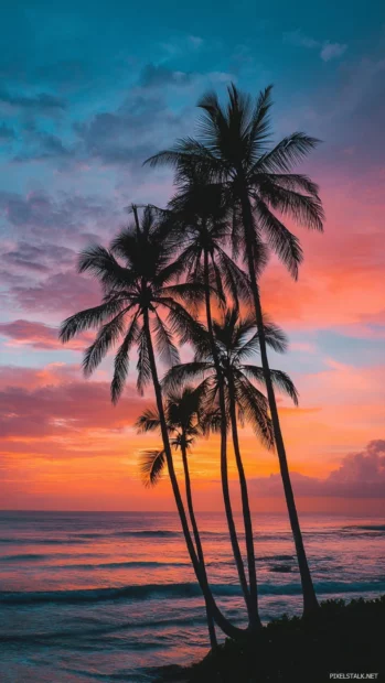 Palm tree iPhone wallpapers capturing tall palms silhouetted against vibrant coral sunset sky over tranquil sea.