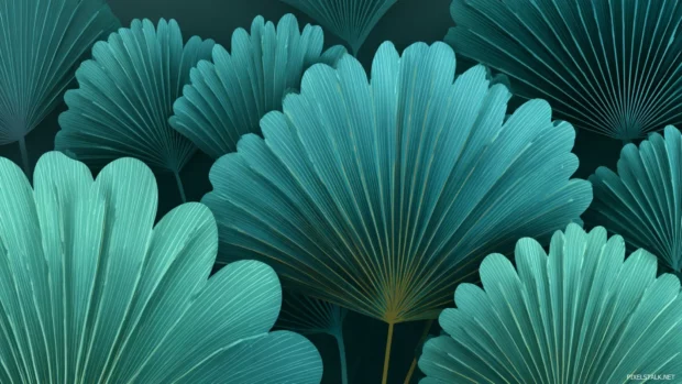 Palm tree leaves arranged in a balanced radial pattern.