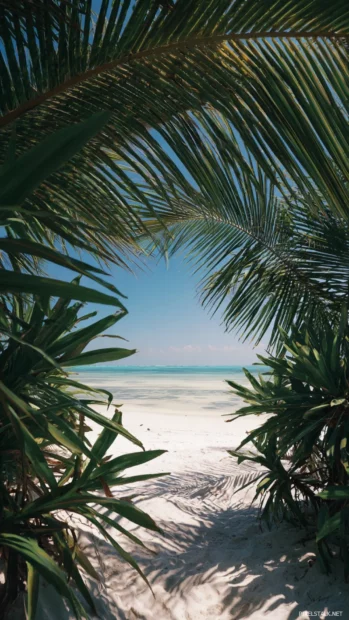 Palm tree leaves forming a natural arch framing the beach and ocean horizon, simple yet elegant.
