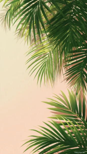 Palm tree leaves gently cascading over a smooth vertical backdrop.